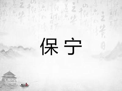 保宁