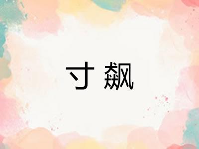寸飙