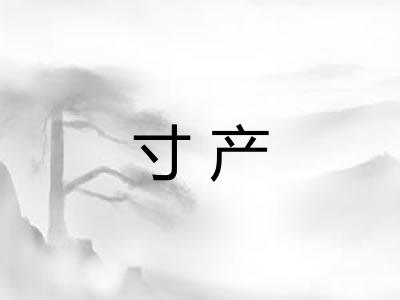 寸产