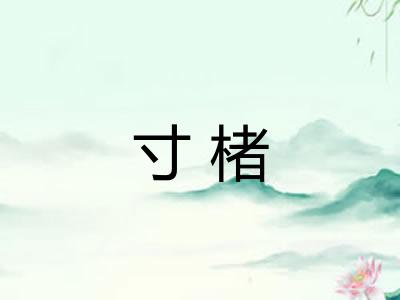寸楮 寸楮