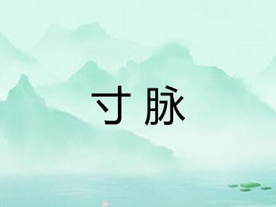 寸脉 寸脉