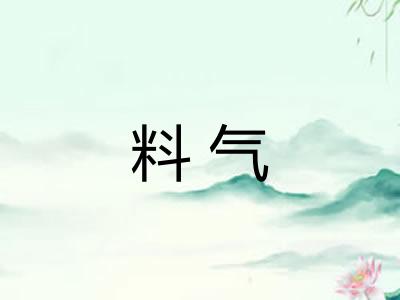 料气 料气
