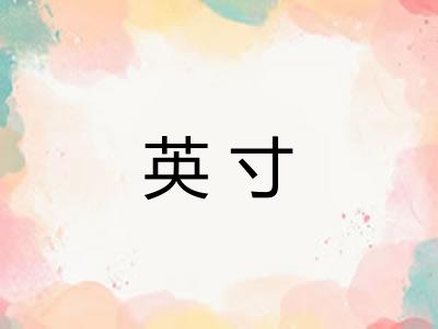 英寸 英寸