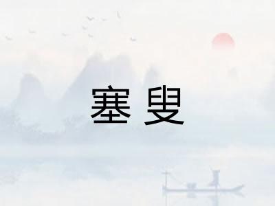 塞叟