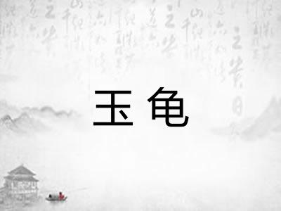 玉龟 玉龟