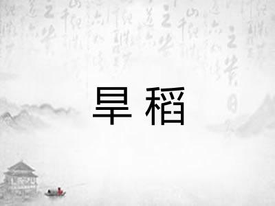 旱稻