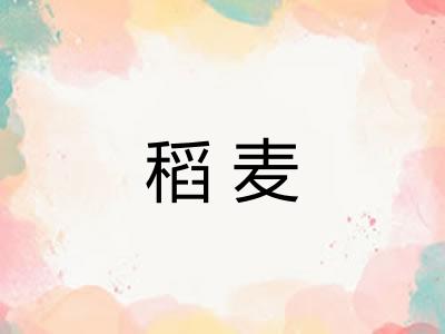 稻麦 稻麦