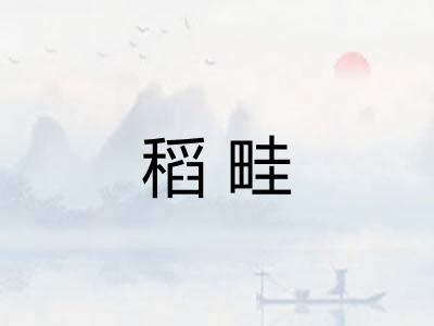 稻畦 稻畦