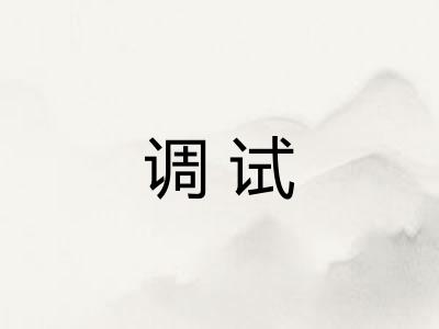 调试 调试