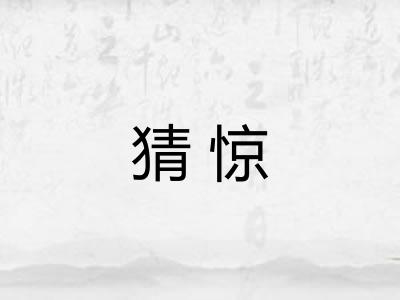 猜惊 猜惊