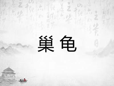 巢龟 巢龟