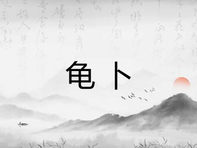 龟卜