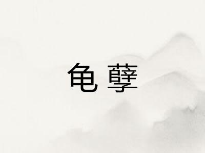 龟孽 龟孽