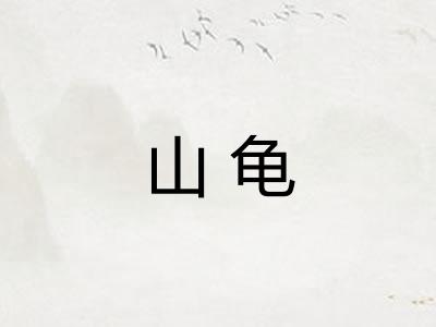 山龟 山龟
