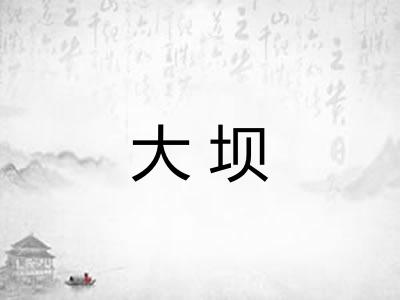大坝 大坝