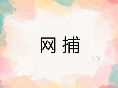 网捕 网捕