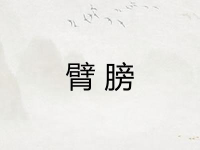臂膀 臂膀