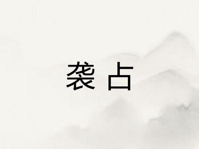 袭占 袭占