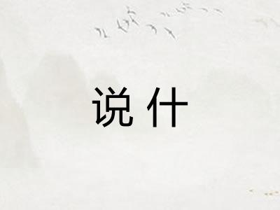 说什