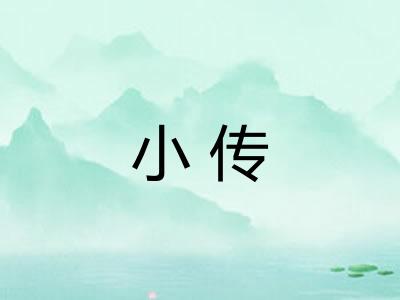 小传