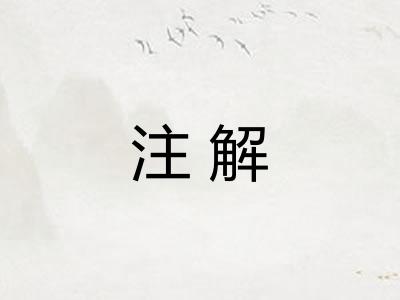 注解