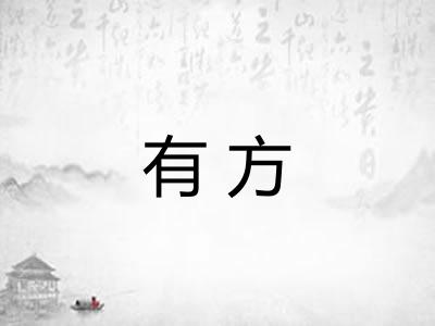 有方 有方