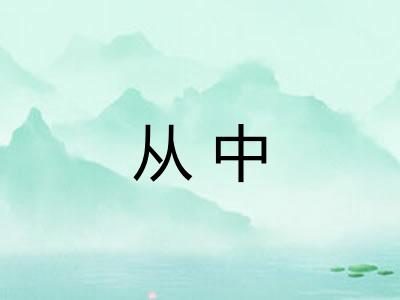 从中