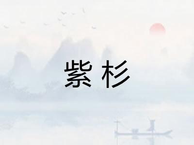紫杉 紫杉