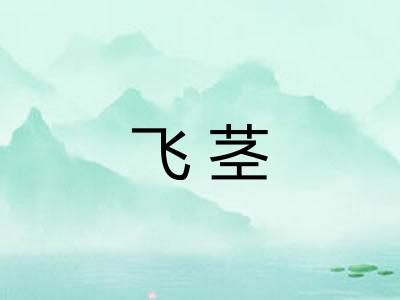 飞茎 飞茎