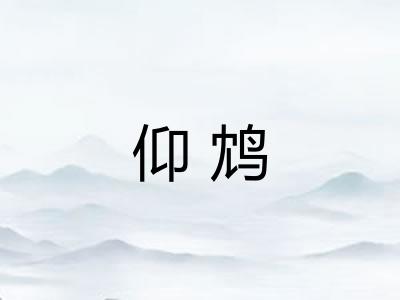 仰鸩 仰鸩