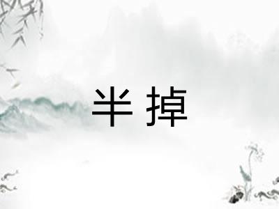 半掉 半掉