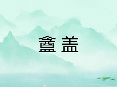 盦盖