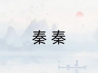 秦秦 秦秦