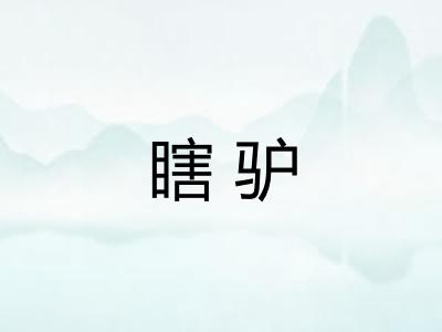 瞎驴 瞎驴