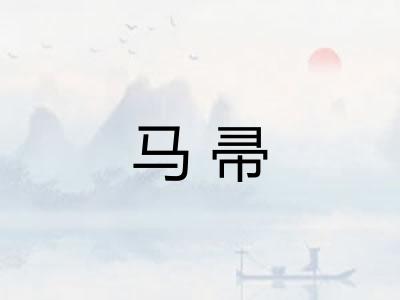 马帚 马帚