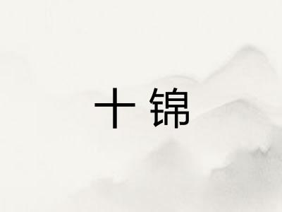 十锦