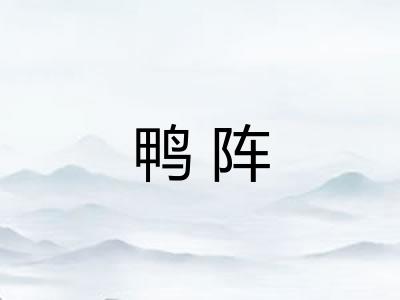 鸭阵 鸭阵