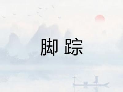 脚踪 脚踪