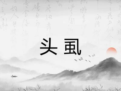 头虱 头虱