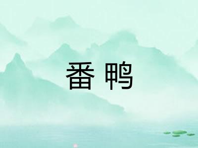 番鸭 番鸭