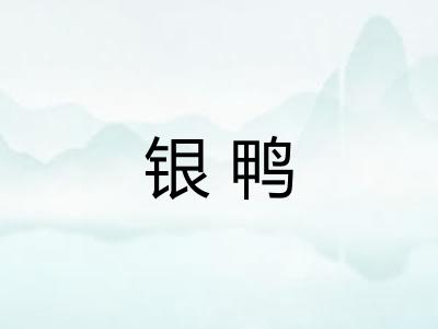 银鸭 银鸭