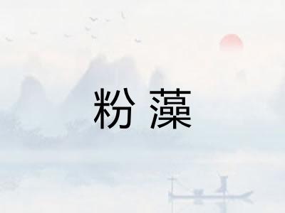 粉藻 粉藻