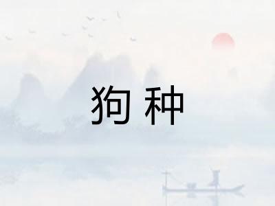 狗种 狗种