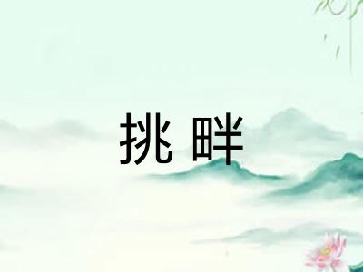 挑畔 挑畔