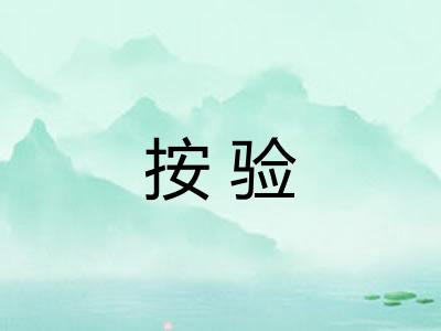 按验 按验