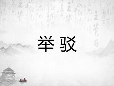 举驳