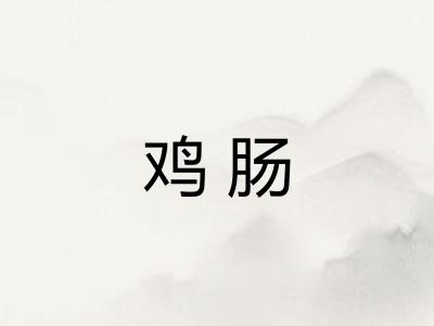 鸡肠