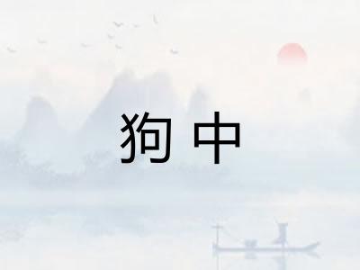 狗中 狗中