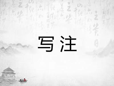 写注