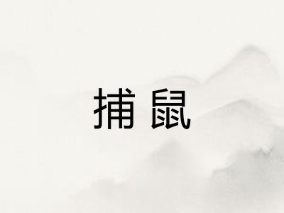 捕鼠 捕鼠